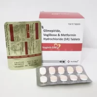 Voginit-GM 1